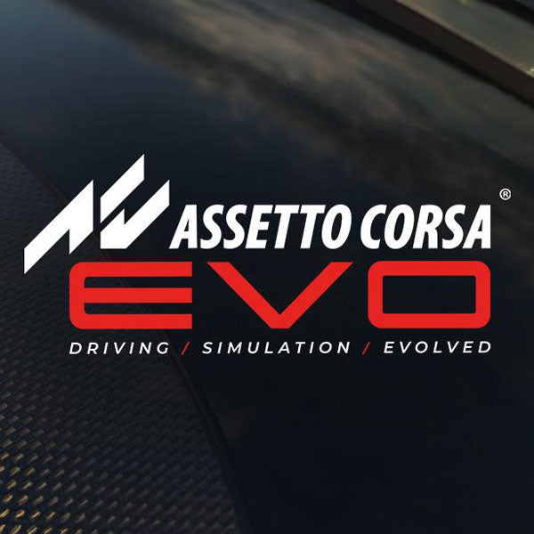Assetto Corsa EVO Setups
